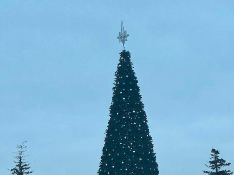 В Липецке новогодняя елка «пала» под воздействием сильного ветра