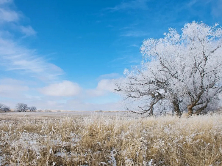 Завтра приметы расскажут о будущем урожае в Калмыкии