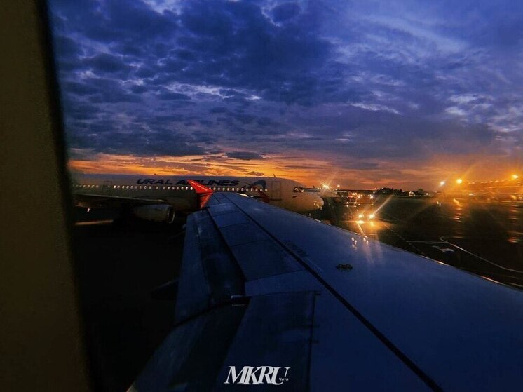 Куда полететь в отпуск и не обеднеть? «МК в Чите» рассказал о новогодних турах