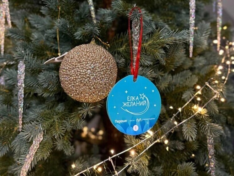 Более 300 подарков заказали дети Хабаровского края на сайте «Елка желаний»