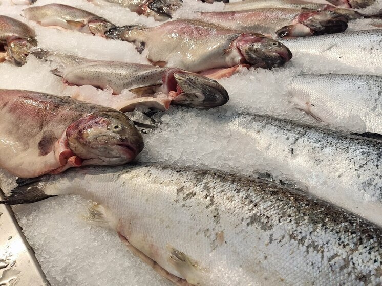 Рыбная отрасль Калининграда живет между спадом улова и ростом спроса