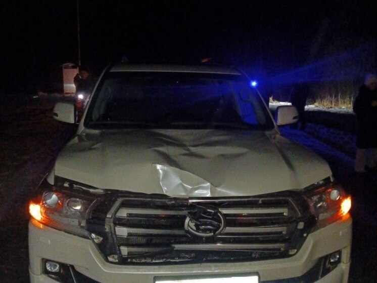 За сутки на дорогах Тамбовской области произошло 5 ДТП