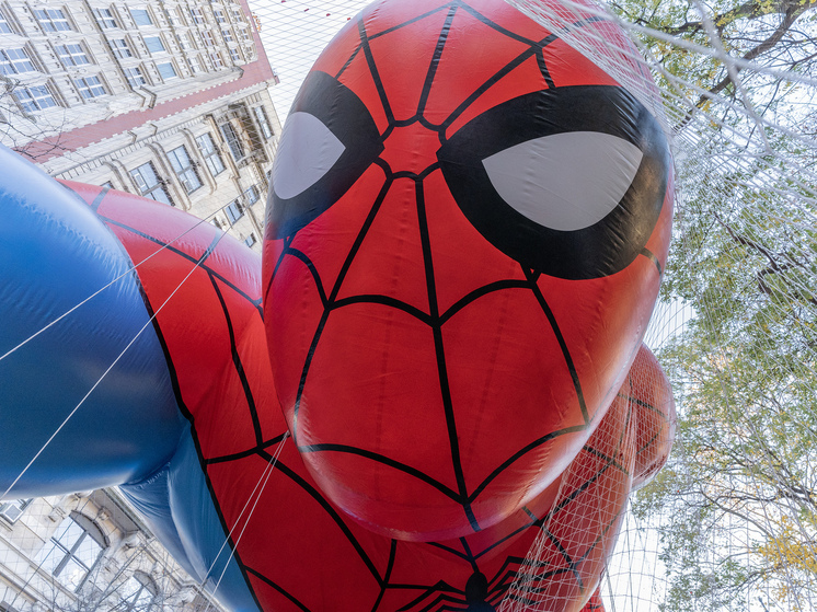 Суд арестовал пришедшего на процесс по делу Долиной в костюме Человека-паука