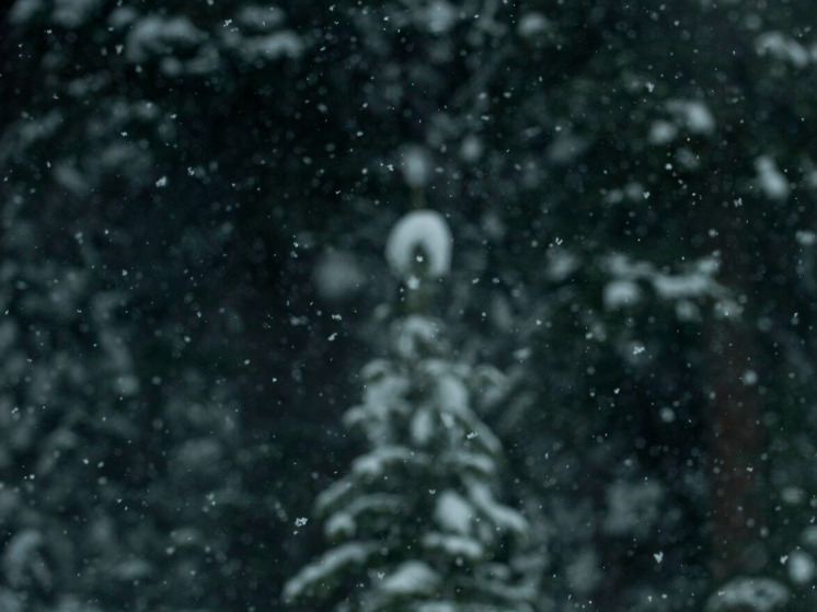 19 декабря в Брянской области ночью ожидается мокрый снег