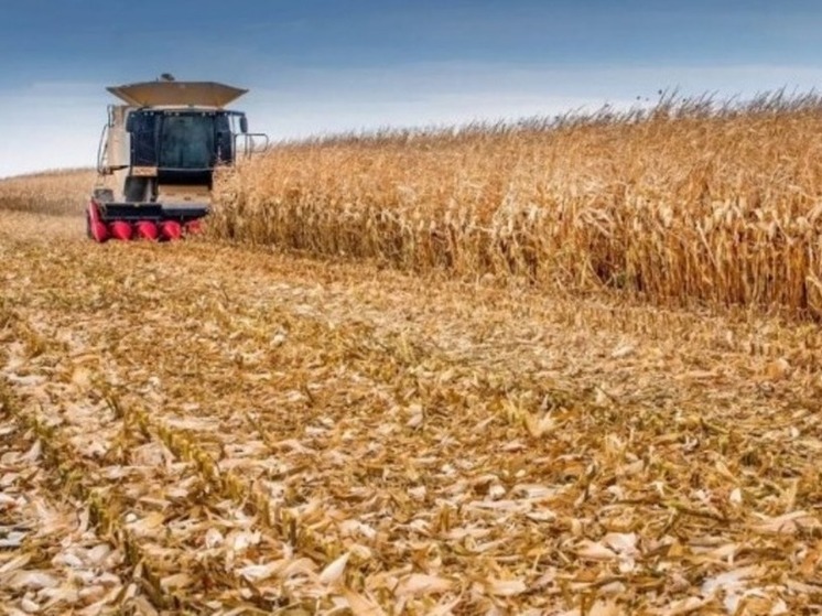 Рекордный урожай-2025: тамбовские аграрии собрали почти 5,8 млн тонн зерна