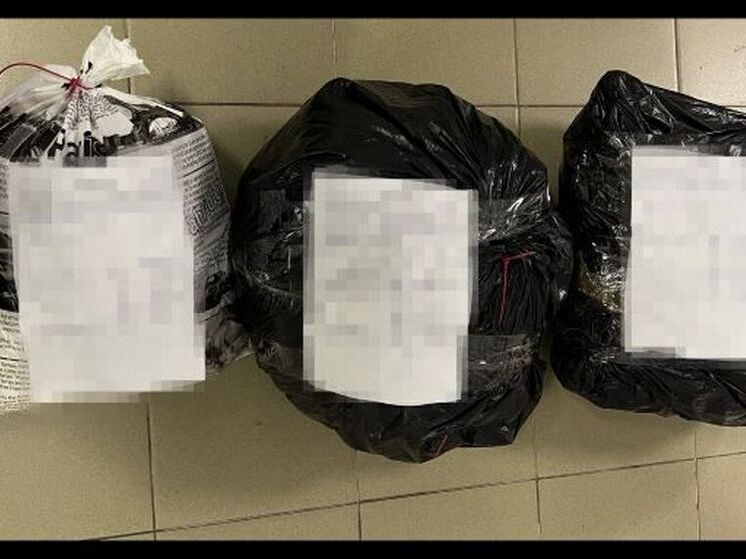 В Петербурге пресекли контрабанду 150 килограммов наркотика