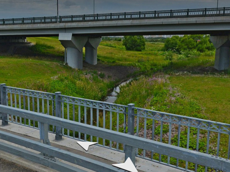 Берег реки Пулковки вернули государству после 20 лет незаконной приватизации