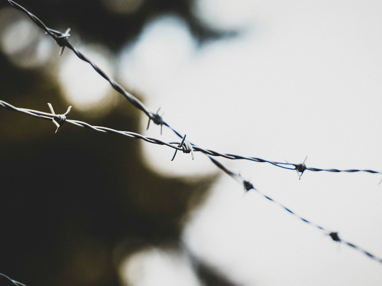 Строгий приговор тамбовскому преступнику: 15 лет колонии