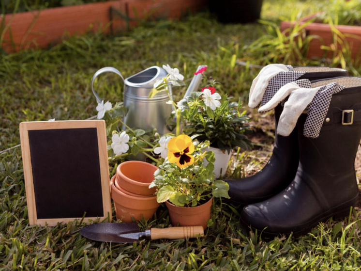 Длинных майских каникул в 2026 году у новосибирцев не будет