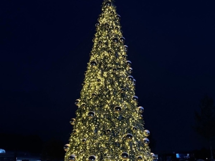 Главную елку ЛНР откроют на Театральной площади Луганска 26 декабря