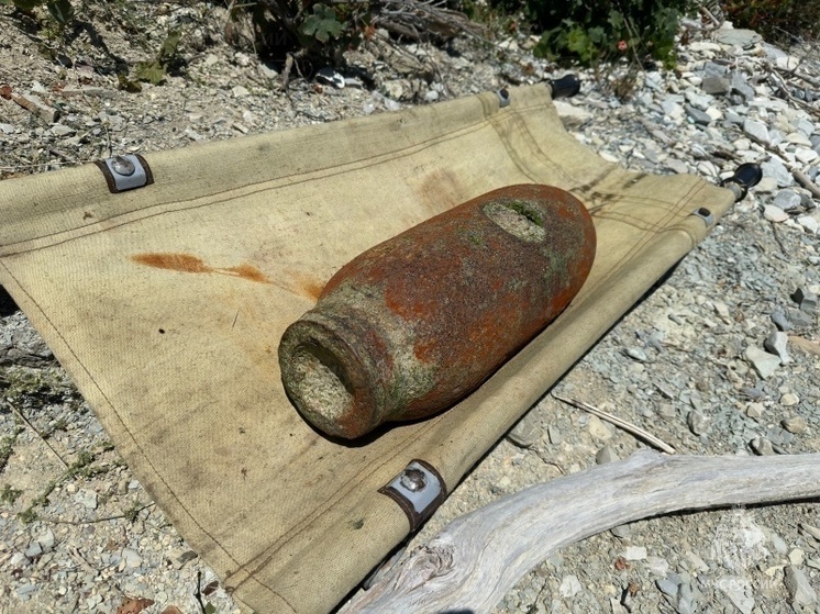 В Ростовской области саперы обезвредили авиационную бомбу времен ВОВ