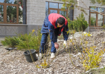 В Москве практически одномоментно высадился мощный, около 10 тысяч человек, трудовой десант из Индии