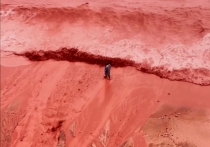 Сцена, которая повергла в шок многих пользователей Сети, развернулась недалеко от иранского острова Ормуз
