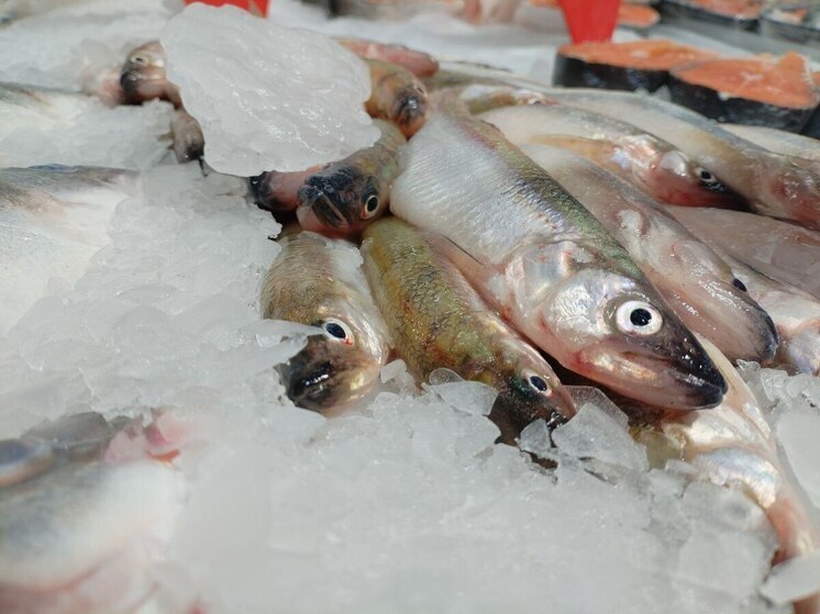 Рыба и морепродукты бьют по карману калининградцев и дешевеют к Уралу
