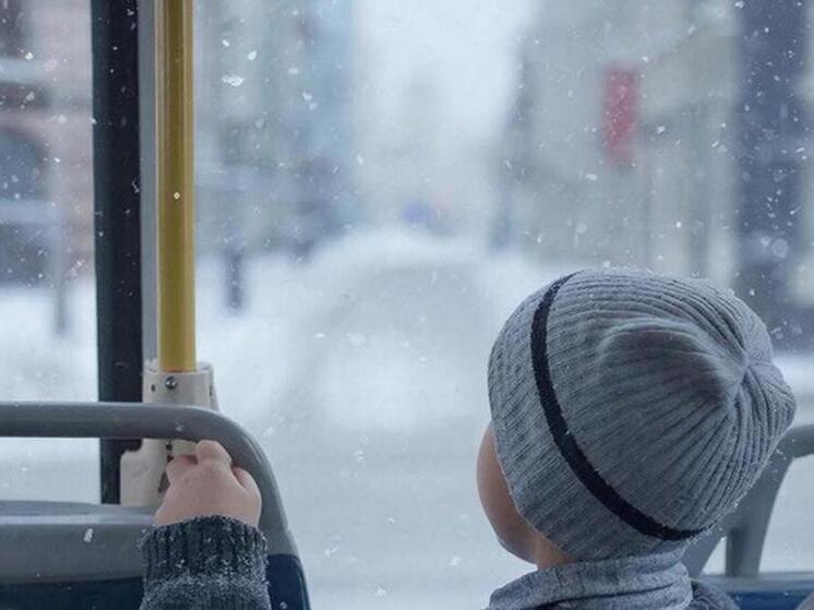 В Углегорске накажут перевозчика за угрозу высадить школьника