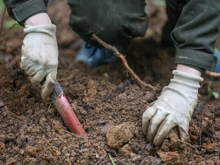 Археологи обнаружили свидетельства невероятно роскошной жизни древней знати