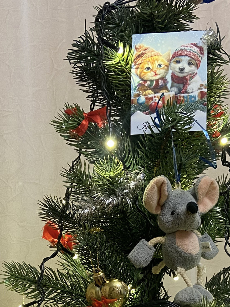 В Мелитополе прошел праздник «Новогоднее чудо» для детей