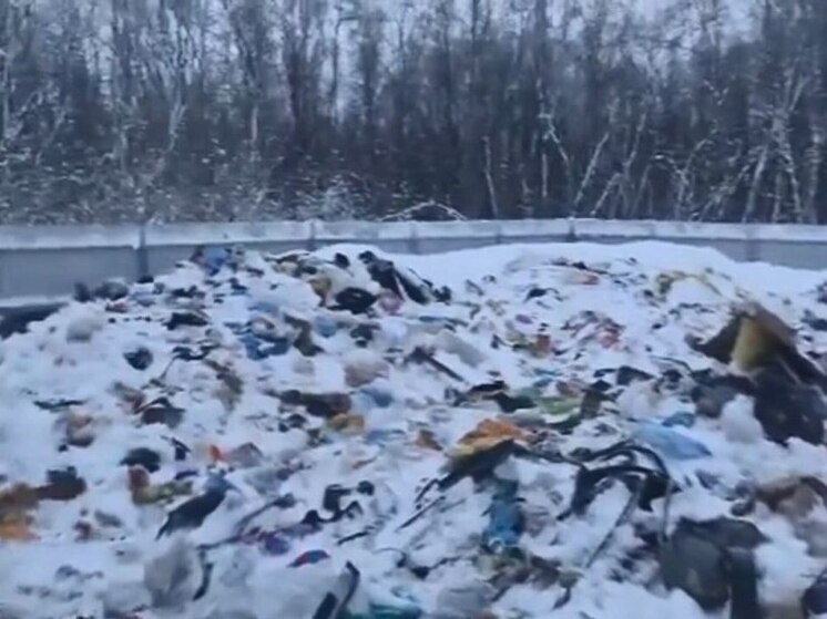 На острове Бревенник в Архангельске обнаружили недосвалку