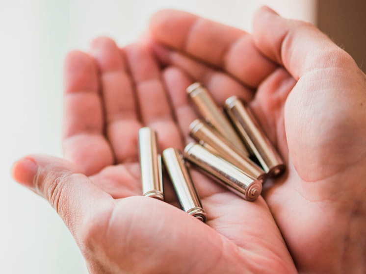 Липецкие экологи получили настоящий новогодний подарок