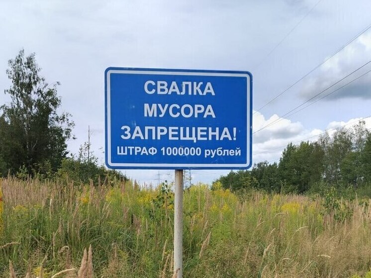 Петербург очистили от 241 несанкционированной свалки площадью 270 кв. м.