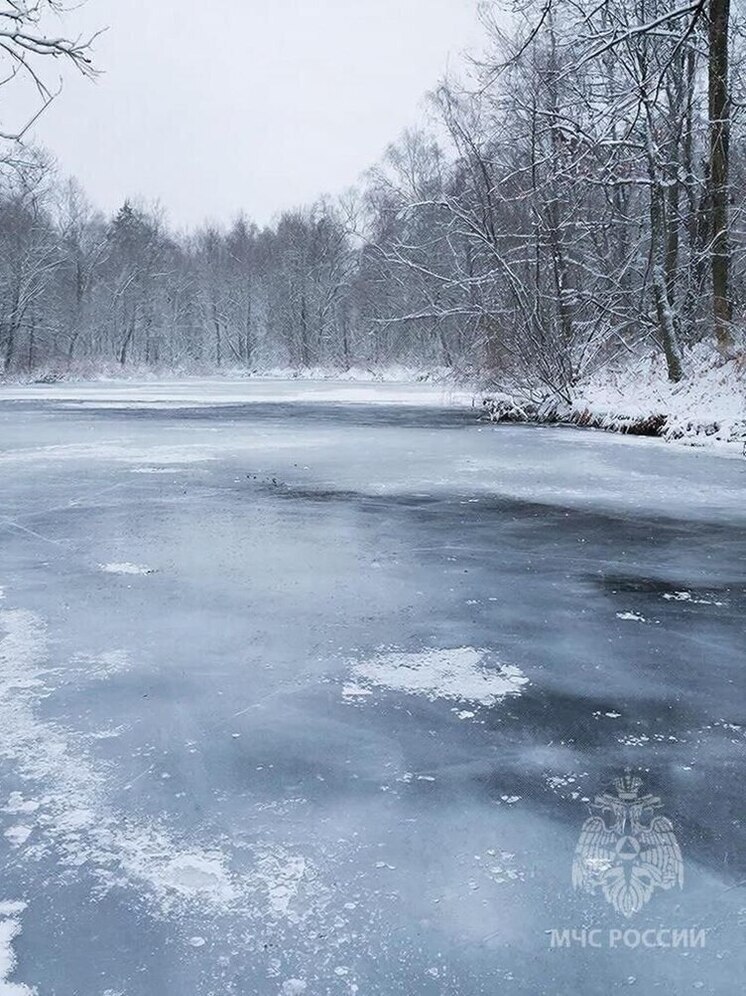 Два человека провалились под лёд в Нижегородской области