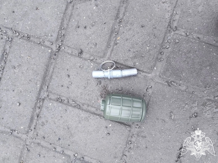 Обнаруженная на Вокзальной площади в Иванове граната оказалась страйкбольной