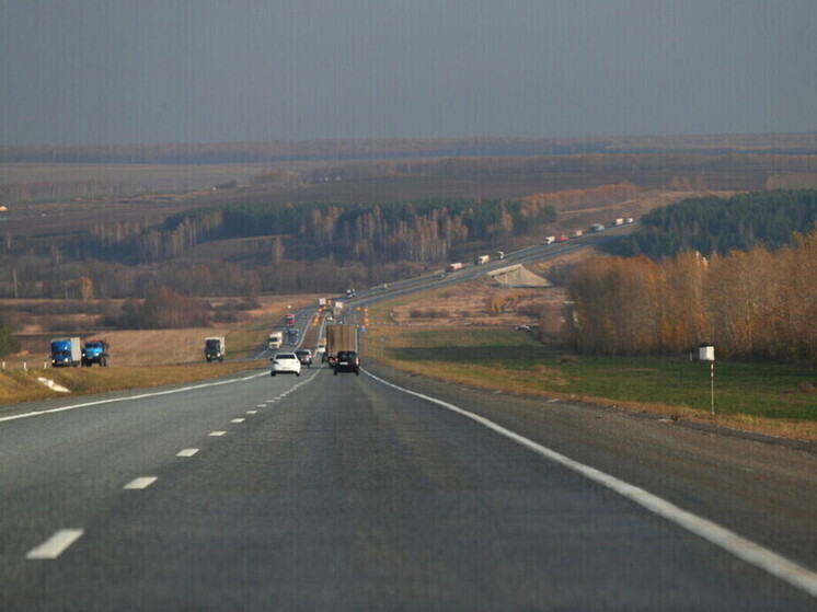 42 человека погибли на встречке с начала 2025 года в Татарстане