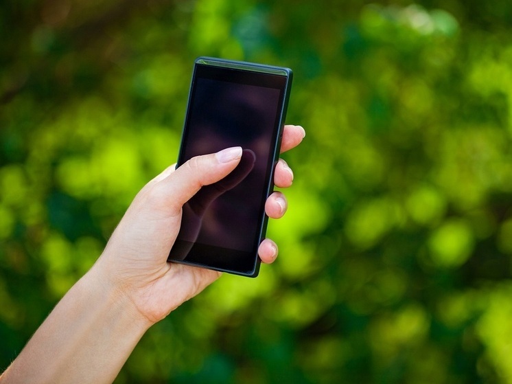 Эксперт Борщук: школьники могут обманывать продавцов фейковыми скриншотами из Max