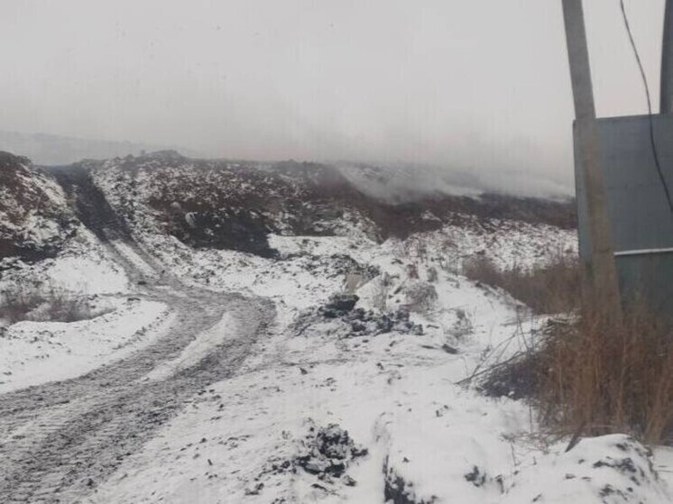 Полигон ТБО «Преображенка» горел в Самарской области 18 декабря