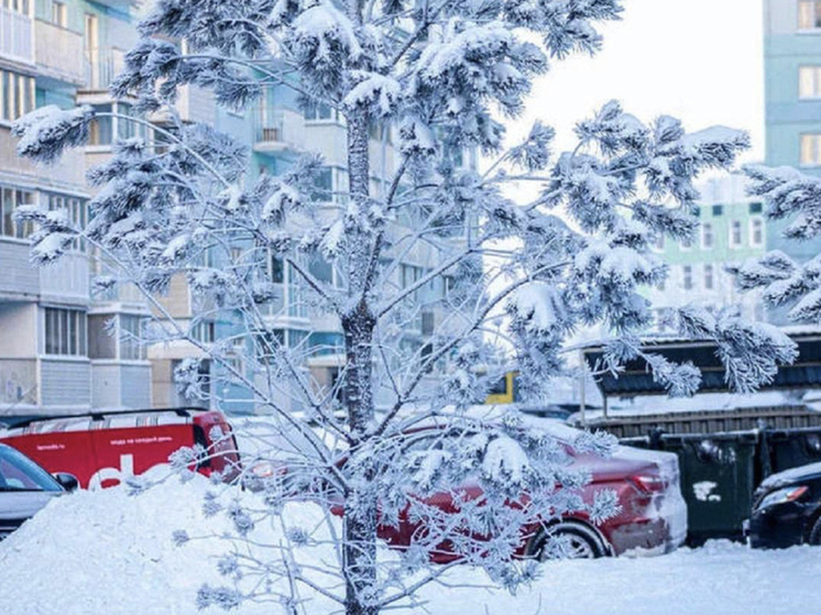 В Новосибирске ожидаются сильные морозы: ночью до −30 градусов