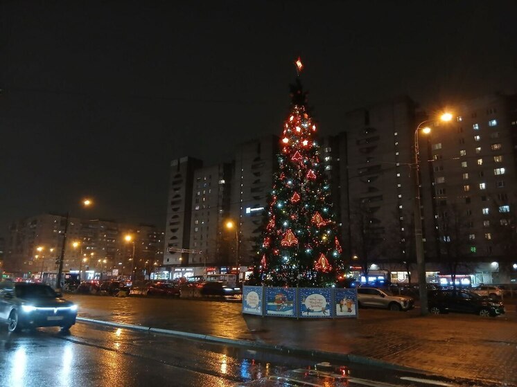 Вслед за ёлкой на Дворцовой засверкали декорации в других районах Петербурга