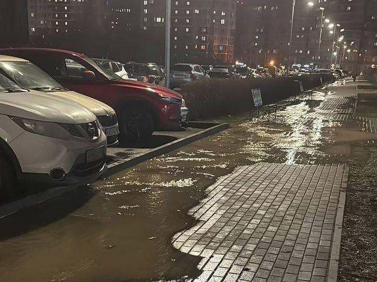 Липчане жалуются на фонтанирующий колодец и прорыв трубы