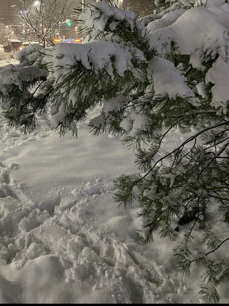 Евгений Балицкий обратился к жителям Запорожской области в преддверии зимних праздников