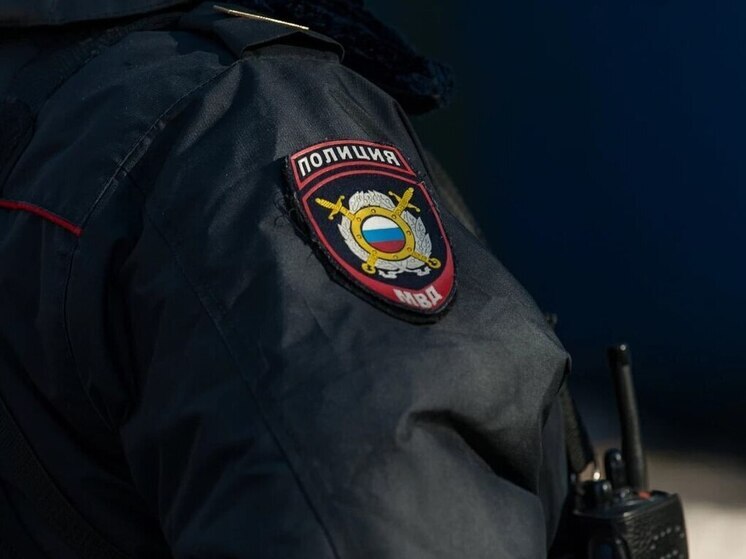 В Туле расследуют дело о продаже квартиры пенсионеркой по «схеме Долиной»