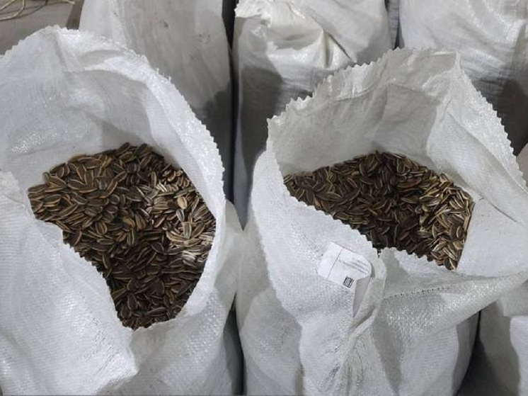 В Хакасию из Казахстана привезли 40 тонн семечек подсолнуха