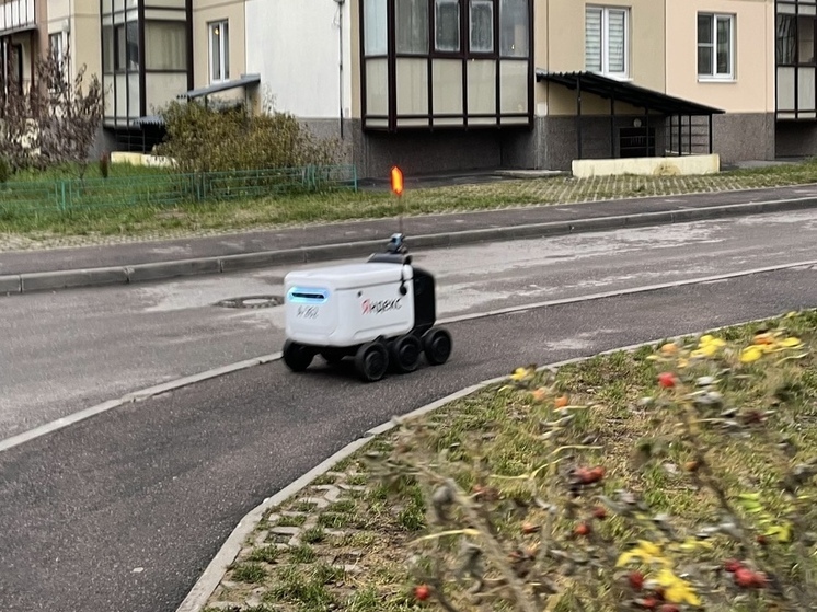 Роботы-доставщики заработали в Приморском районе Петербурга