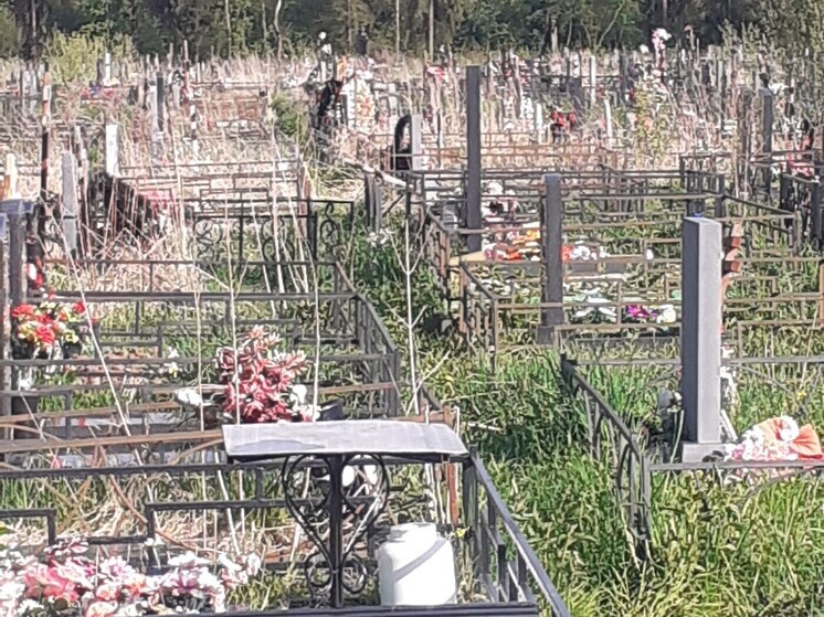 В мэрии Ярославля еще раз уточнили место нового кладбища