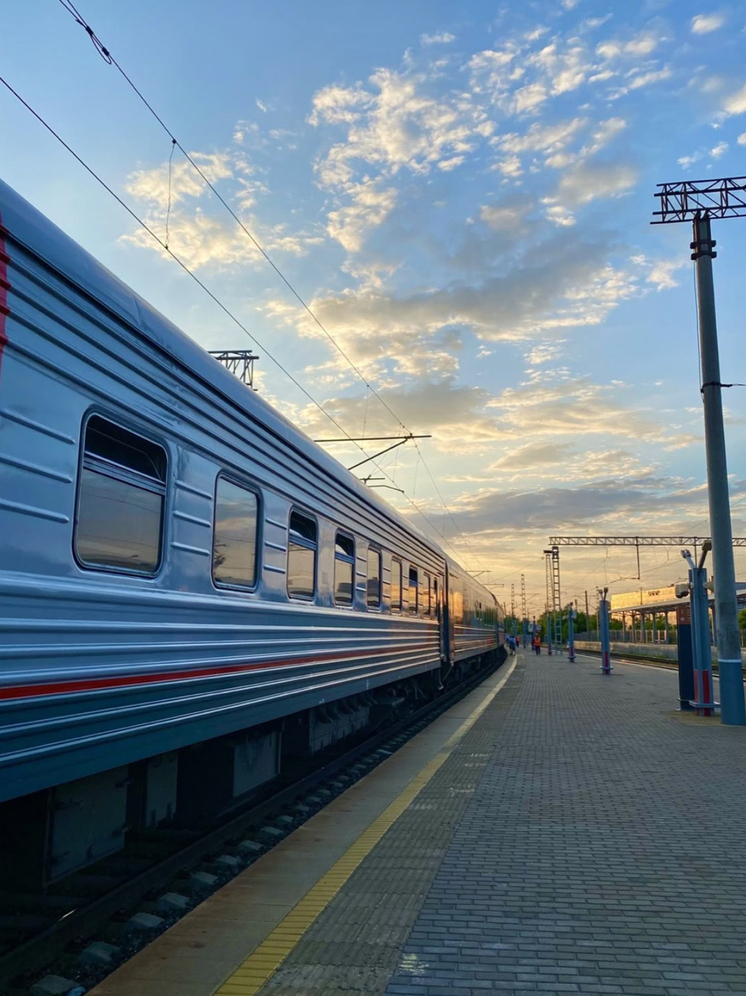 В Дагестане установили 9 км «электропастухов» из-за наезда поездов на животных