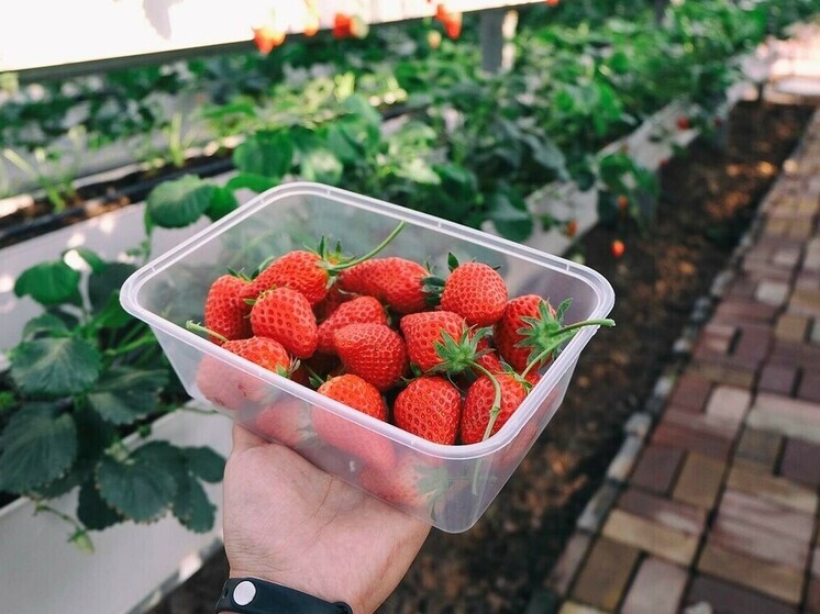 Единый институт пространственного планирования (ЕИПП) РФ представил проект генерального плана развития Перевальского муниципального округа ЛНР