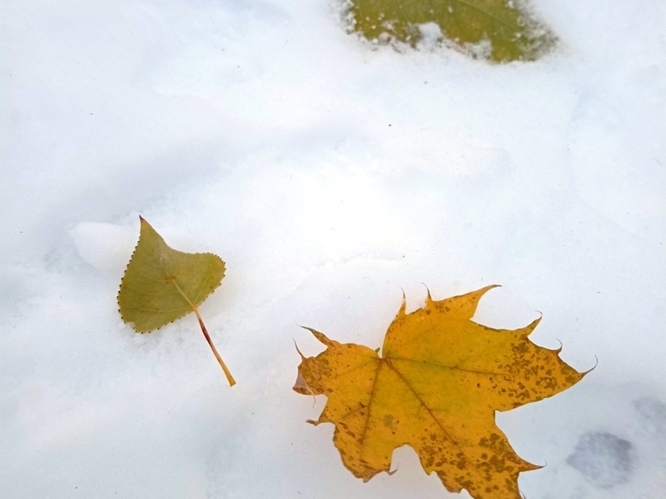 Сила магнитной бури 19 декабря составит 2 балла: благоприятное время для денежных операций