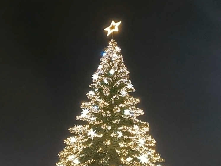 Свыше пяти тысяч мероприятий пройдет в Ростовской области на новогодних каникулах