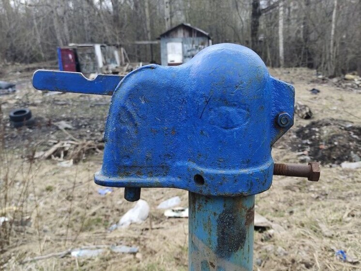 Водозаборная скважина в деревне Илемсельга была сохранена