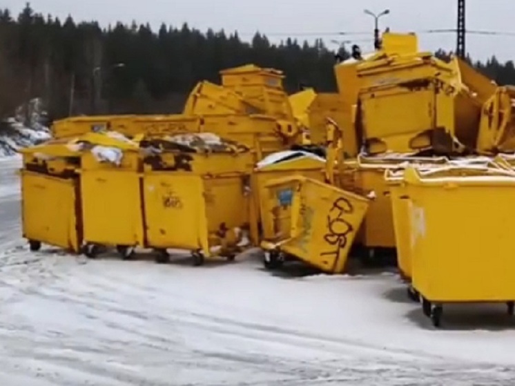 В Петрозаводске обнаружена свалка желтых контейнеров для раздельного сбора мусора