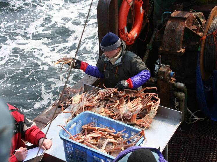 Россия и Норвегия возобновили рыболовное сотрудничество вопреки давлению ЕС