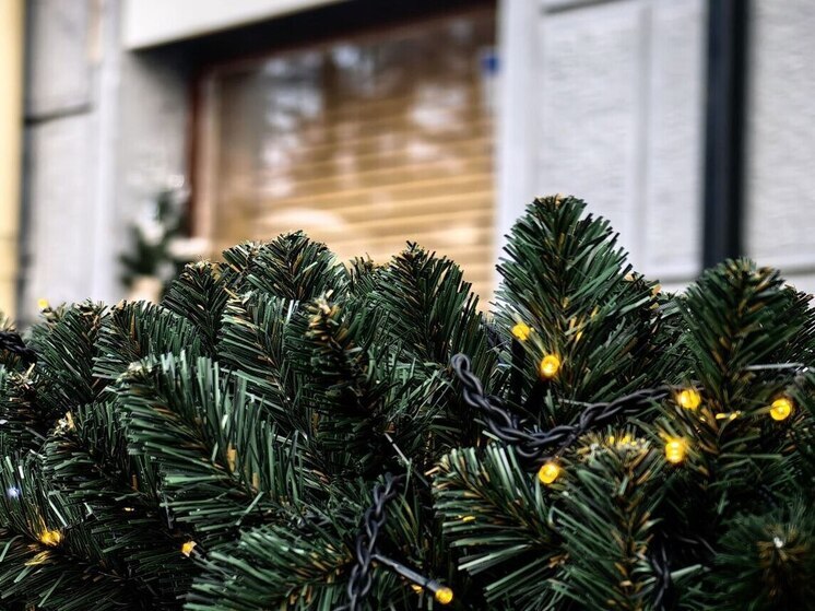 В Приморье 19 декабря: местами снег и гололедица на дорогах