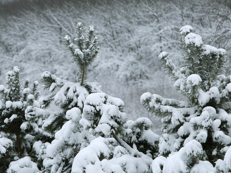 ГД: работодатели не могут сокращать зарплату из-за длинных праздников