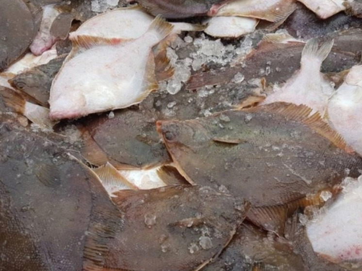 Свежую рыбу по доступным ценам продают в Южно-Сахалинске 19 декабря