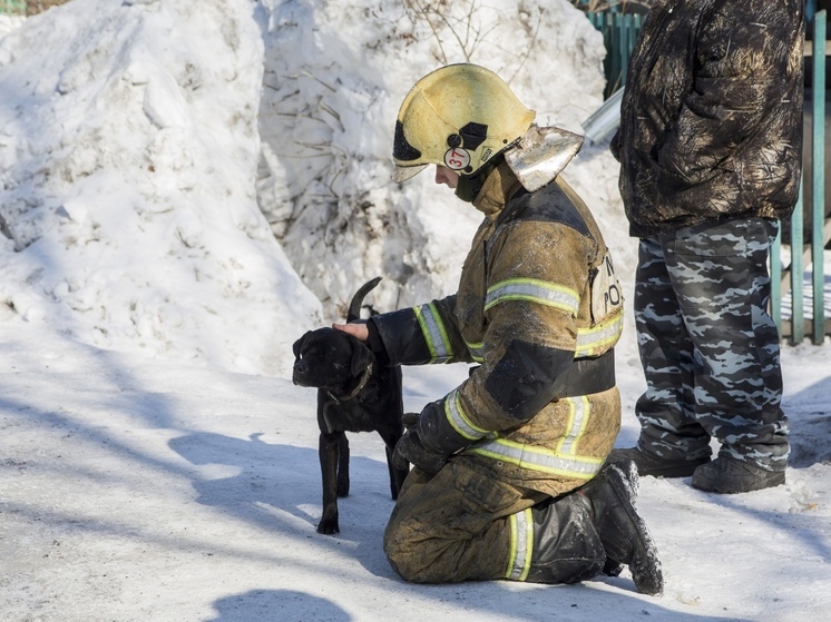 Специалисты экстренных служб Новосибирской области спасли 455 человек за 11 месяцев 2025 года