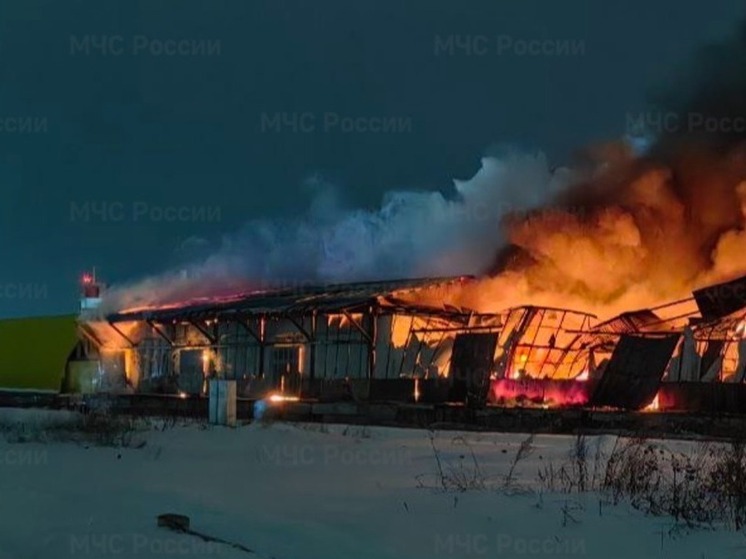 В Новосибирске на складе транспортной компании произошёл крупный пожар