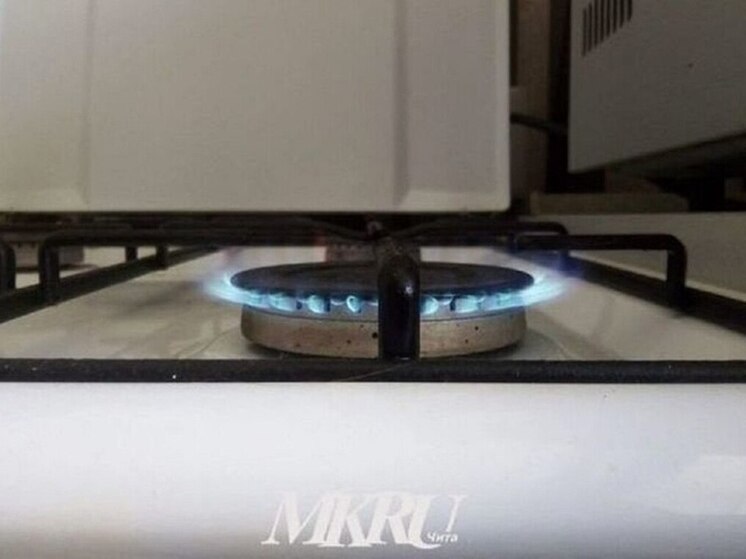 Волжин: Газификация в Петровск-Забайкальском начнется в 2029 году